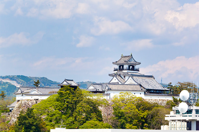 Kochi Castle