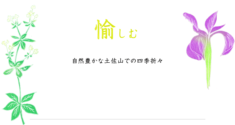 自然豊かな土佐山での四季折々