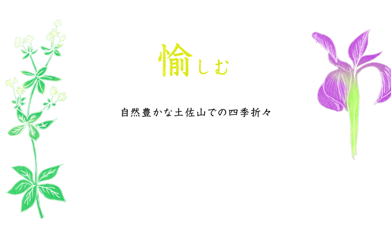 自然豊かな土佐山での四季折々