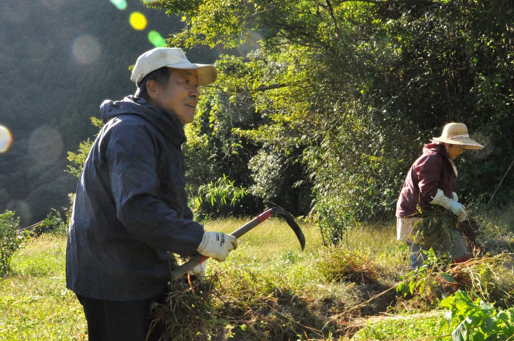 tosayama people 8