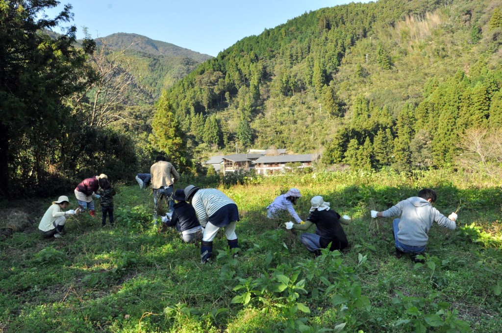 tosayama people 8