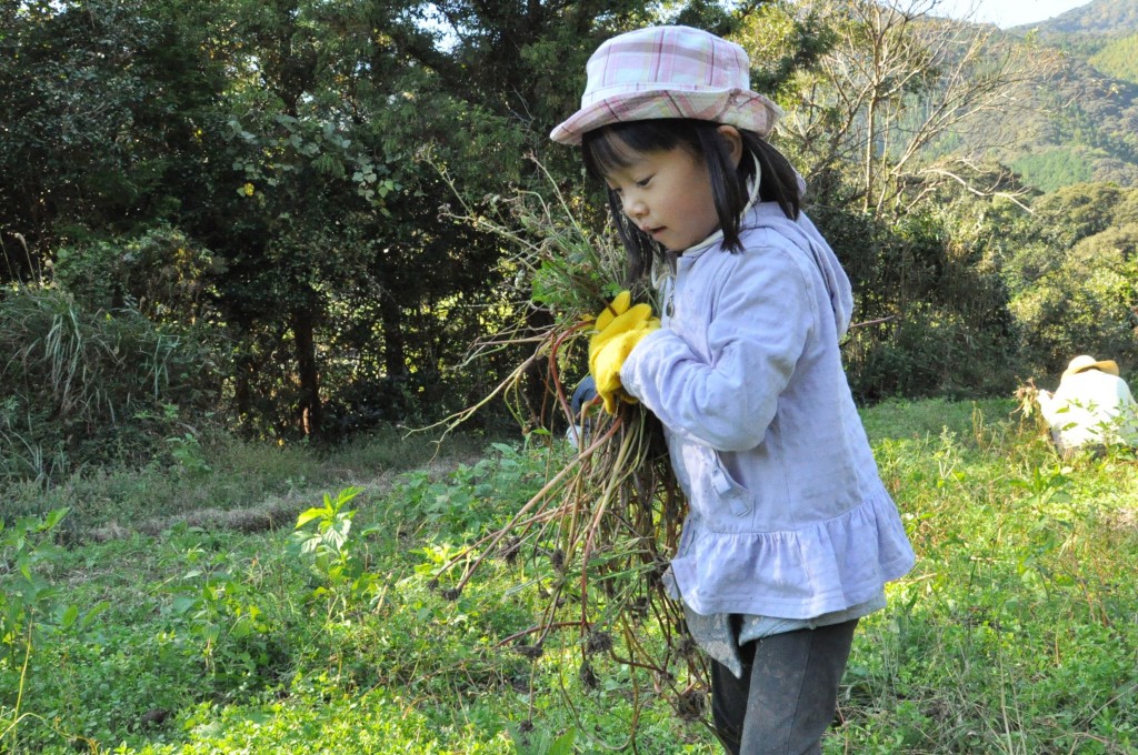 tosayama people 8